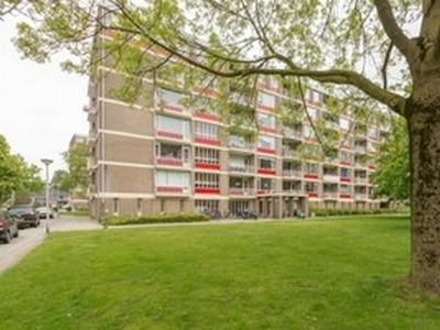 Appartement te huur in Amersfoort