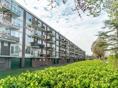 Appartement te huur in Leiden