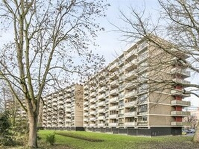 Appartement te huur in Leiden