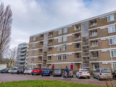 Appartement te huur in Leiden