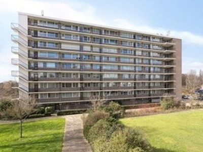 Appartement te huur in Leiden