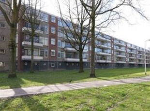 Appartement te huur in Tilburg