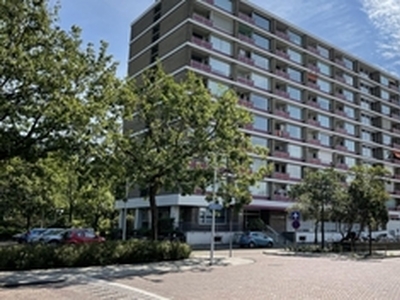 Appartement te huur in Leiden