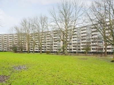 Appartement te huur in Leiden