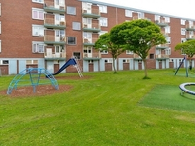 Appartement te huur in Leiden