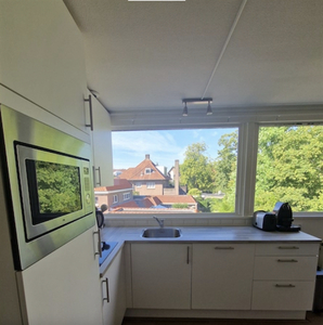 Appartement te huur P Czn Hooftlaan, Eindhoven