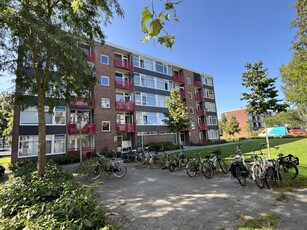 Appartement in Deventer met 3 kamers