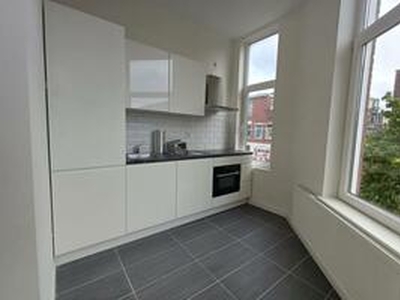 Apartment te huur in Schiedam