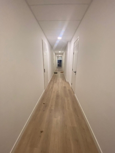 Appartement Hereweg in Groningen