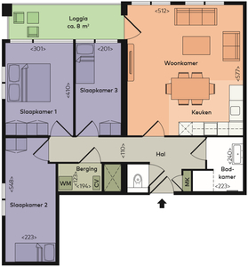 Appartement in Leiden met 3 kamers