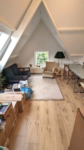 Appartement Koninginnelaan in Apeldoorn