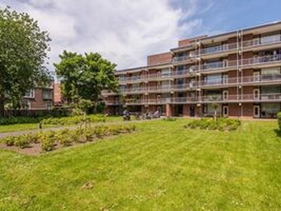 Appartement te huur in Dordrecht