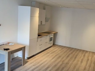 Geitenkamp in Arnhem (55m2)