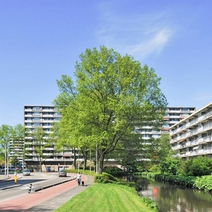 Groenhof in Amstelveen (50m2)