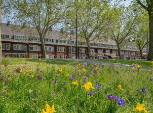 Groene Hilledijk 400B, Rotterdam