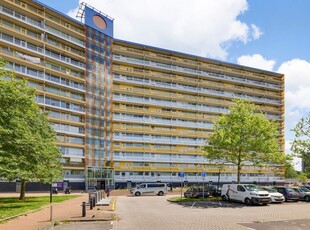 Pharus 203, Zaandam