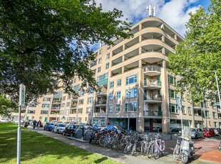 Schapendreef 205, Rotterdam