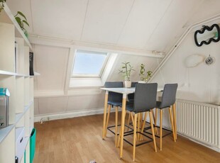 Appartement in Utrecht met 5 kamers