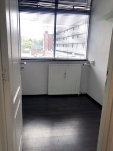 Appartement te huur Dovenetellaan, Arnhem