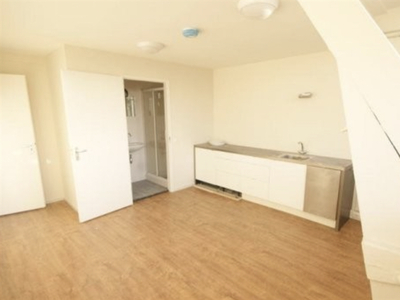 Appartement te huur Willemstraat, Zuidland