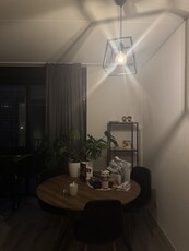 Appartement te huur Singravenlaan, Arnhem