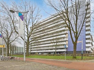 Vijfhagen 144, Breda