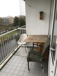 Apartment te huur in Leiden