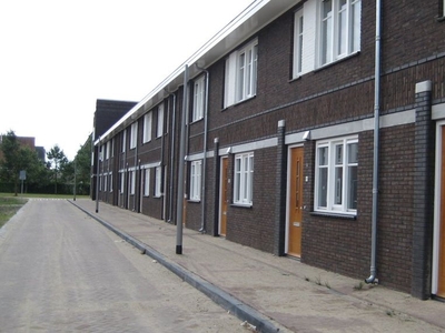 Auroraplantsoen in Arnhem (124m2)