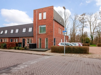 Jan Steenstraat 22