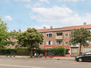 Ahornstraat 22