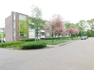 Appartement in Breda met 3 kamers