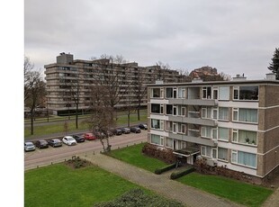 Huur 1 slaapkamer appartement van 77 m² in Eindhoven