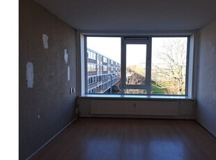 Huur 2 slaapkamer appartement van 45 m² in Rotterdam