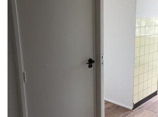 Huur 2 slaapkamer appartement van 55 m² in Leeuwarden