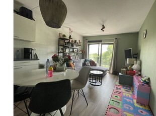 Huur 3 slaapkamer appartement van 55 m² in Apeldoorn