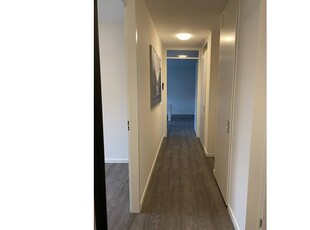 Huur 3 slaapkamer appartement van 74 m² in 's-Hertogenbosch