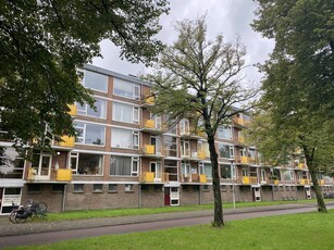 Portiekflat Moezeldreef, Utrecht huren?