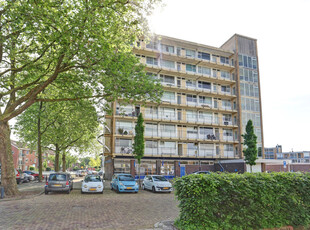 Willem Bontekoestraat 41