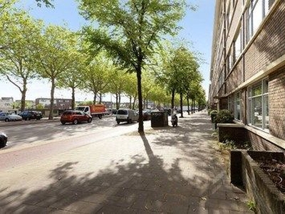 Troelstrakade in Den Haag (70m2)