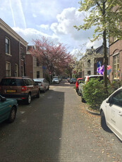 Adriaanstraat 22