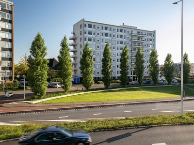 Galerijflat Europaplein, Leeuwarden huren?