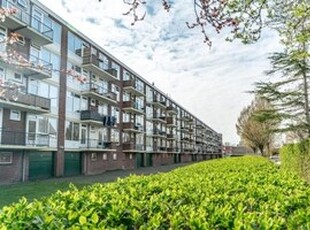 Appartement te huur in Leiden