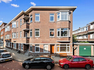 Goudreinetstraat 227