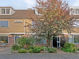 Helene Swarthstraat 19