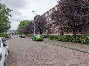 Ruigoord 58, Rotterdam