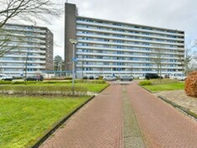 Appartement te huur in Alkmaar