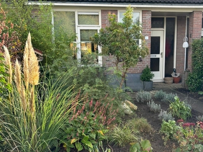 van Pallandtlaan 4