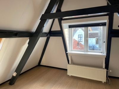 Appartement in Leiden met 3 kamers