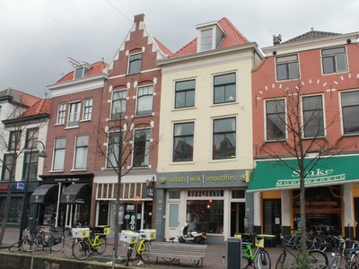 Binnenwatersloot in Delft (40m2)