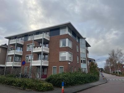 Platteven in Noord-Scharwoude (75m2)